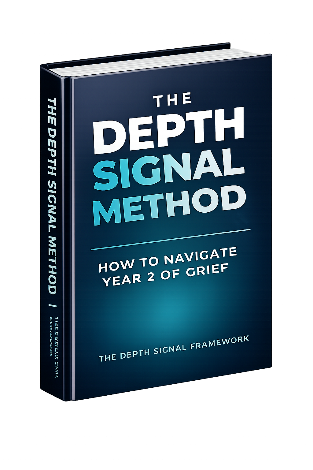 The Depth Signal Method eBook cover