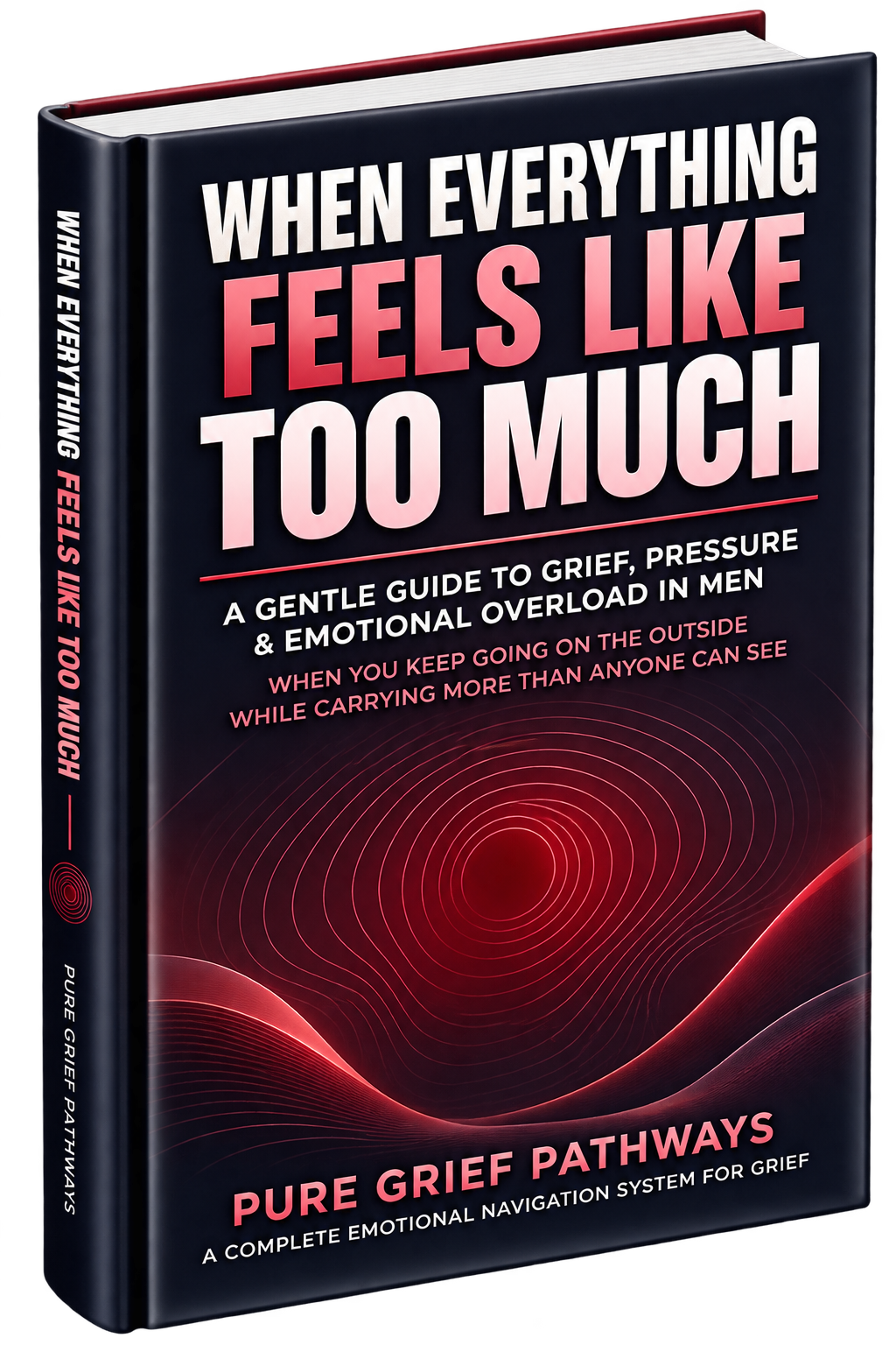 When Everything Feels Like Too Much - A Gentle Guide to Grief, Pressure and Emotional Overload in Men